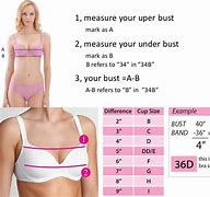 Image result for Calculate Bra Cup Size