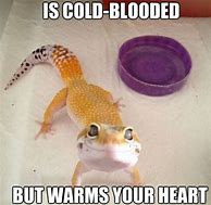 Image result for Smiling Leopard Gecko Meme