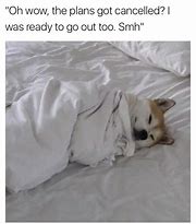 Image result for Wanna Spoon Nap Meme