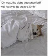 Image result for My Bed Meme