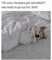 Image result for Nap Humor Meme