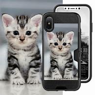 Image result for iPhone 7 Cases Shockproof Kittens