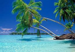 Image result for Tropical Beach Wallpaper iPhone