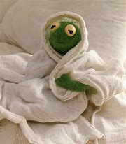 Image result for Depressed Kermit