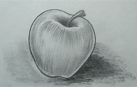 Image result for Apple Drawing Shading