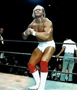 Image result for Hulk Hogan AWA