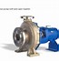 Image result for Gear Pump KSB