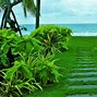 Image result for Cool Wallpapers of Nature