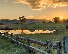 Image result for tocal