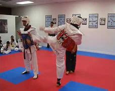 Image result for Daedo Sparring Gear