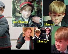 Image result for James Francis Alexander Book the Real Prince Harry