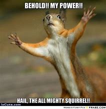 Image result for Crazy Squirrel Meme