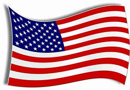 Image result for Official US Flag