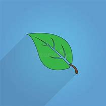 Image result for Leaf Vector Blue and Green
