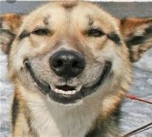 Image result for Keep Smiling Meme