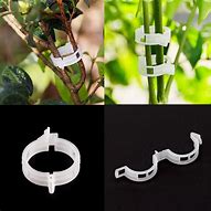 Image result for Plant Support Clips JPEG