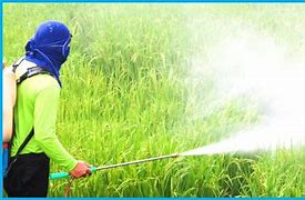 Image result for Pesticide Spraying
