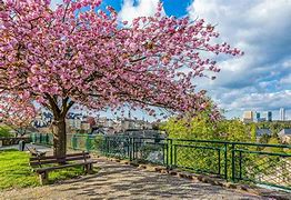 Image result for Luxembourg Vienna