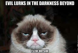 Image result for Tard the Grumpy Cat Meme