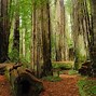 Image result for United States National Parks