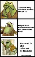 Image result for Toad Frog Meme