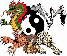 Image result for Kung Fu Animals