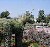 Image result for African Unicorn