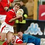Image result for Welsh Rugby Union Logo