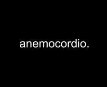 Image result for anemocordio