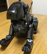 Image result for Aibo 111