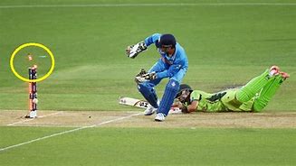 Image result for Cricket Run Out