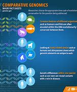 Image result for Genome and Gene Difference