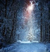 Image result for Christmas Night Wallpaper HD