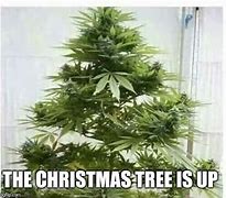 Image result for Weed Tree Meme