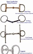 Image result for Snaffle Bit On Horse