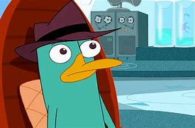 Image result for Peri Platypus