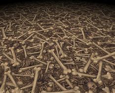 Image result for Bone Texture Vector