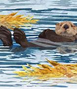 Image result for Sea Otter Art