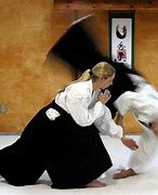Image result for aikido
