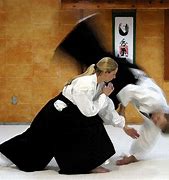 Image result for aikido