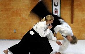 Image result for Aikido Martial Arts