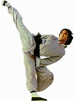 Image result for Monkey Style Kung Fu Techniques