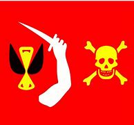 Image result for Jack Sparrow Flag