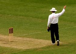 Image result for Ball Guard Cricket