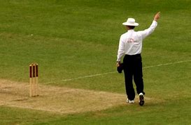 Image result for 80 Not Out Cricket Sign