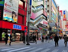 Image result for Akihabara Shopping