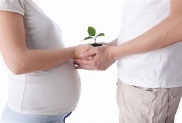 Image result for fertilidad