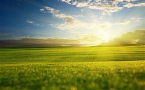 Image result for Beautiful Day Sunny Morning