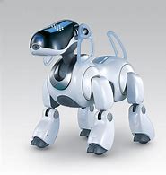 Image result for Aibo 3.1L