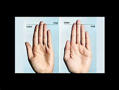Image result for 21 Inches Compared to a Hand